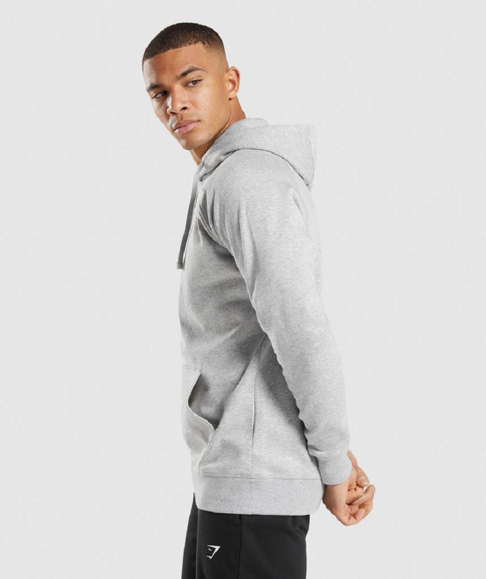 Sudadera Con Capucha Gymshark Crest Hombre Gris Claro | CO 3613SGL